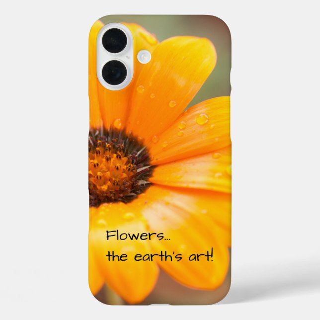Coques Case-Mate iPhone Orange Spring Flash African Daisy Photographie (Verso)