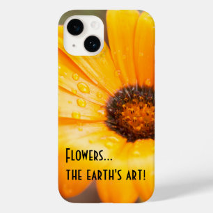 Coques Pour iPhone Orange Spring Flash African Daisy Photographie