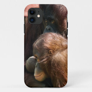 Case-Mate iPhone CASE ORANGUTANS