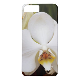 Coque iPhone 7 Plus Orchidée Lune Blanche (Phalaenopsis Aphrodite)