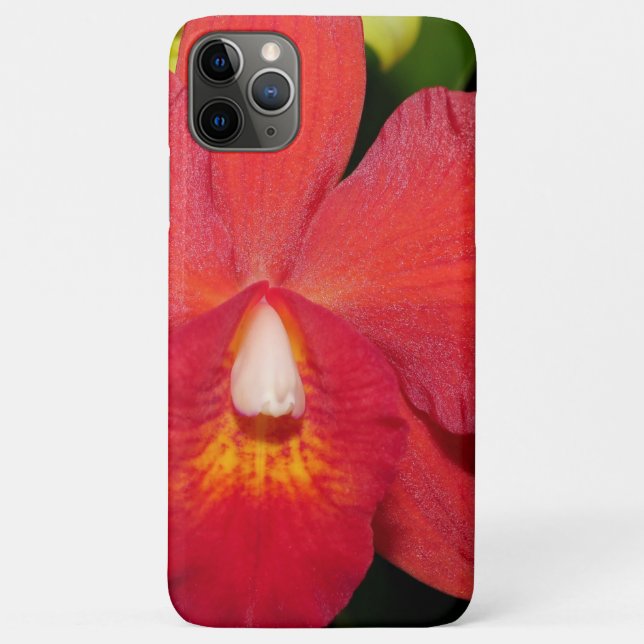 Coques Case-Mate iPhone Orchidée rouge vif (Dos)