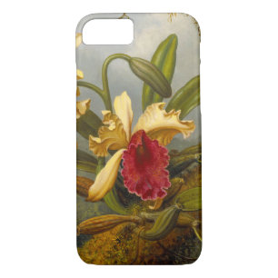 Case-Mate iPhone Case Orchidées et colibri Heade