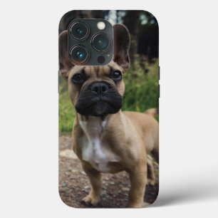 Case-Mate iPhone Case Oreiller à lancer de chien de taureau français