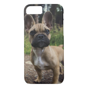 Case-Mate iPhone Case Oreiller à lancer de chien de taureau français