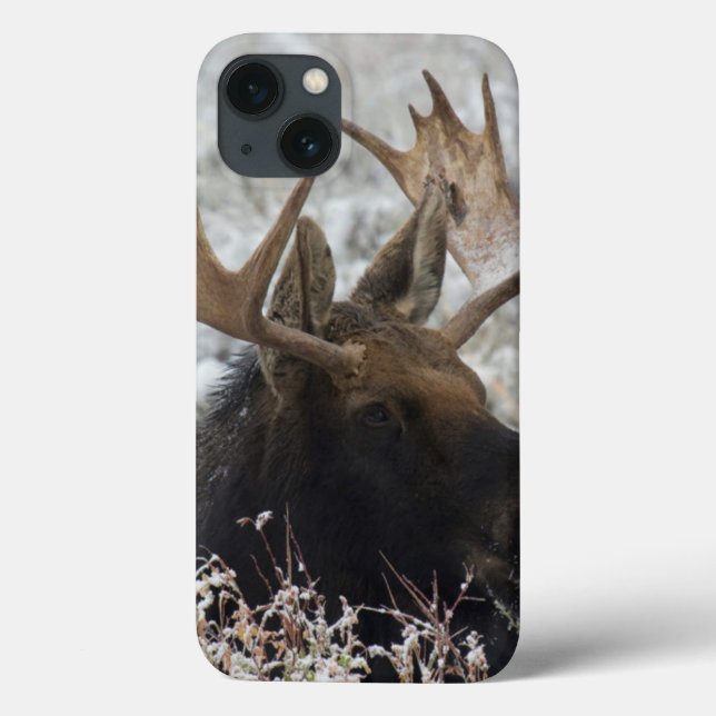 Coques Case-Mate iPhone Orignal de Shiras (Verso)
