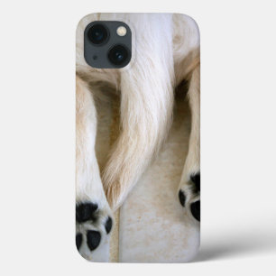 Case-Mate iPhone Case Orteils de marionnettes Golden Retriever