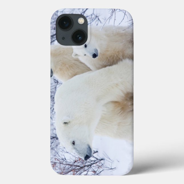 Coques Case-Mate iPhone Ours blancs et deux petits animaux (Verso)