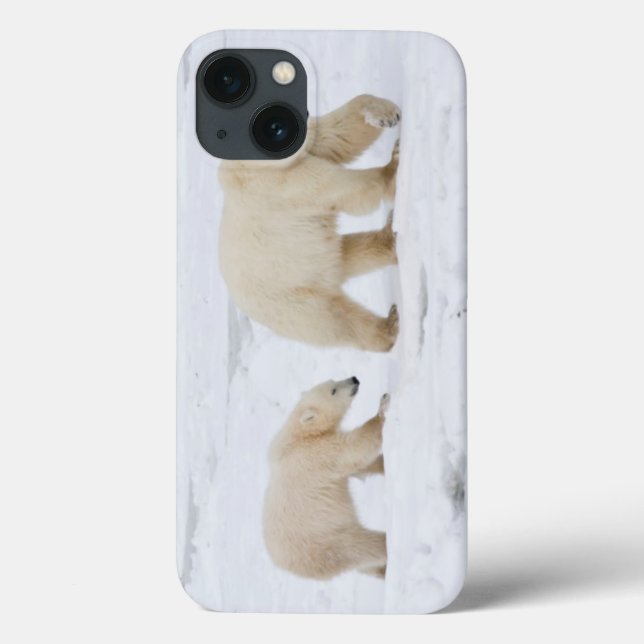 Coques Case-Mate iPhone Ours blancs femelles et deux petits animaux 2 (Verso)