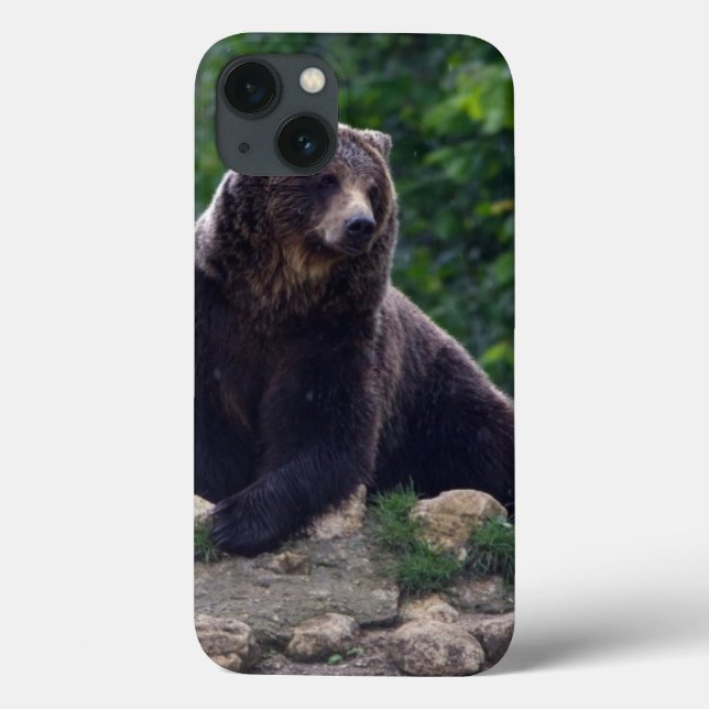 Coques Case-Mate iPhone Ours Brown (Verso)