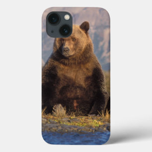 Etui iPhone Case-Mate ours brun, Ursus arctos, grizzli, Ursus
