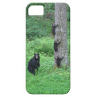 Ours et trois petits