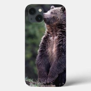 Etui iPhone Case-Mate Ours gris debout