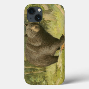 iPhone 13 Case Ours noir sur un tronc d'arbre