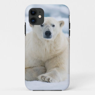 Coque Case-Mate Pour iPhone Ours polaire adulte sur la banquise estivale