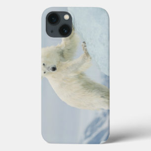 Coques Pour iPhone Ours polaire en été