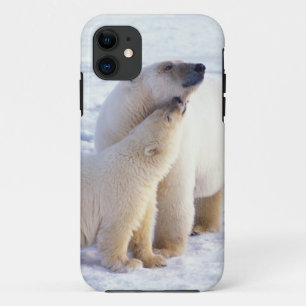 Etui iPhone Case-Mate Ours polaire femelle avec ourson, meute