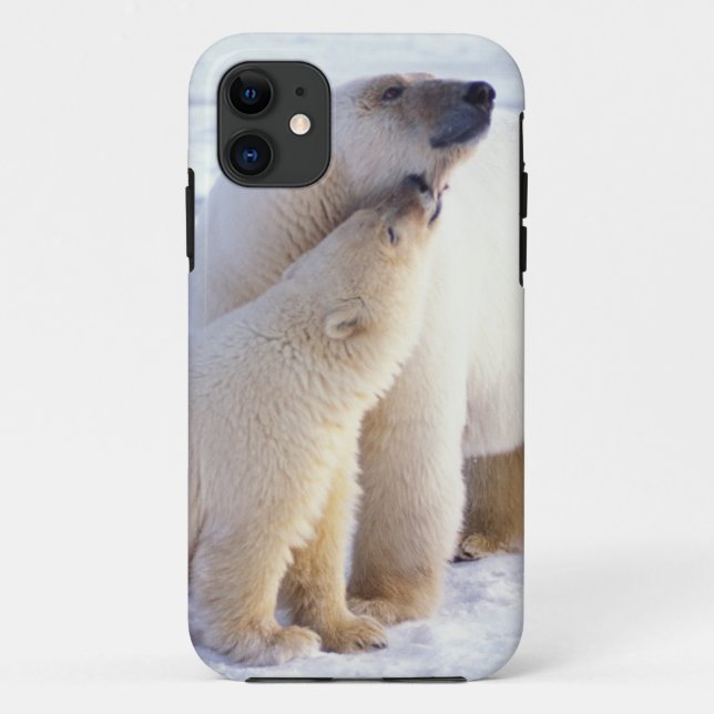 Coques Case-Mate iPhone Ours polaire semé avec un petit, emballer (Dos)