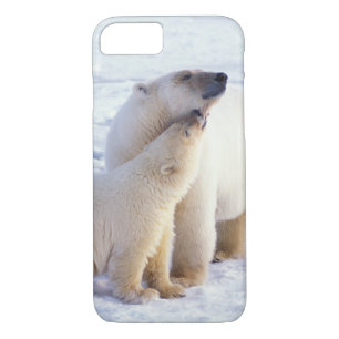 Coque iPhone 7 Ours polaire semé avec un petit, emballer