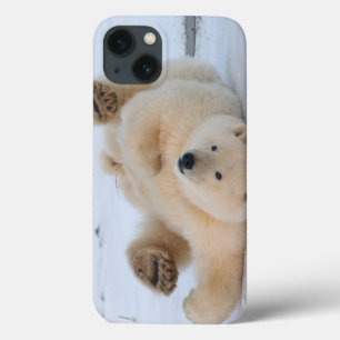 Etui iPhone Case-Mate ours polaire, Ursus maritimus, ourson roulant 3