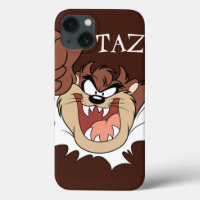 Page de gravure de TAZ™