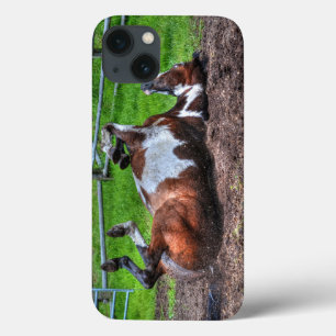 Etui iPhone Case-Mate Paint Rolling Horse Equine Photo pour les amateurs