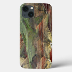 iPhone 13 Case Painted Hills, John Day Fossil Beds, Mitchell