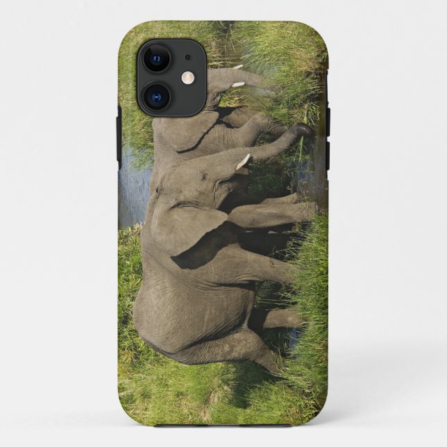 Coques Case-Mate iPhone Paire d'éléphants africains Masai Mara (Dos)