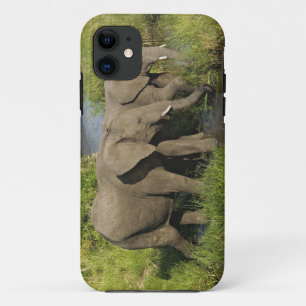 Etui iPhone Case-Mate Paire d'éléphants d'Afrique Masai Mara