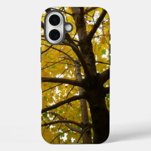 iPhone 16 Plus Case Paire d'érables jaunes Automne Nature