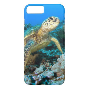 Coque iPhone 8 Plus/7 Plus Paires de tortue