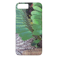 Palme en carton (Plante en carton)