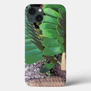 iPhone 13 Case Palme en carton (Plante en carton)