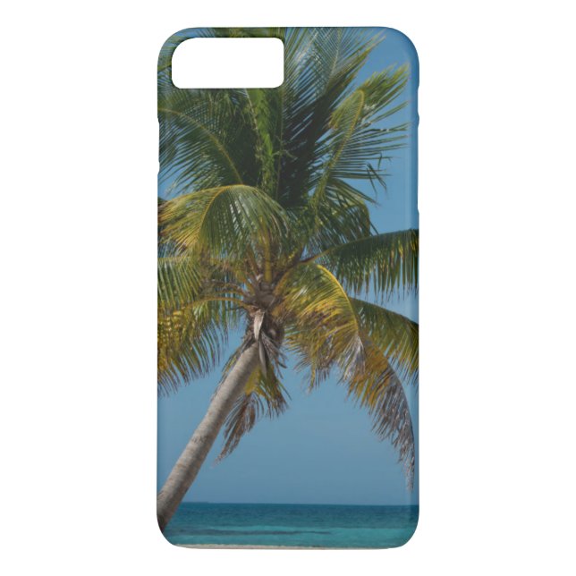 Coques Case-Mate iPhone Palmier et plage de sable blanc  2 (Dos)