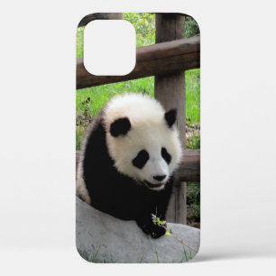 Coque iPhone 12 panda