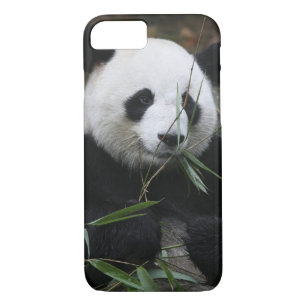 Etui iPhone Case-Mate Panda géant