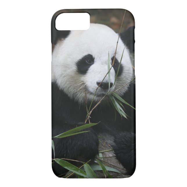 Coques Case-Mate iPhone Panda géant (Dos)