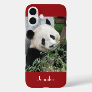 Coques iPhone 16 Plus Panda géant mignon, Rouge foncé, Nom