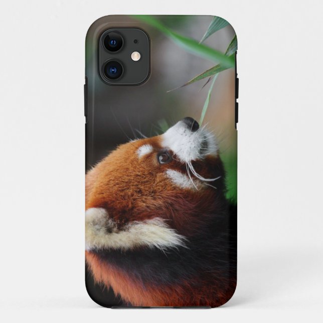 Coques Case-Mate iPhone Panda rouge (Dos)