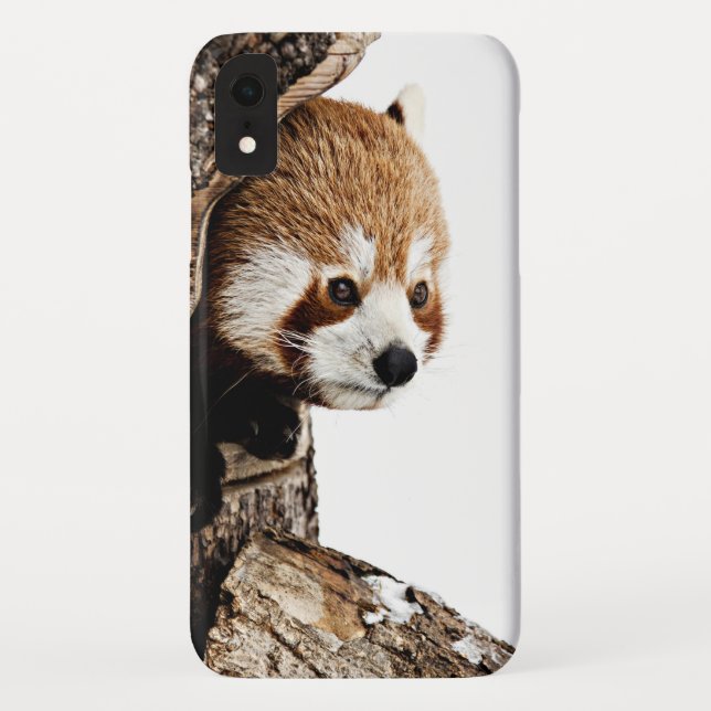 Coques Case-Mate iPhone Panda rouge en regardant d'un tronc d'arbre (Dos)