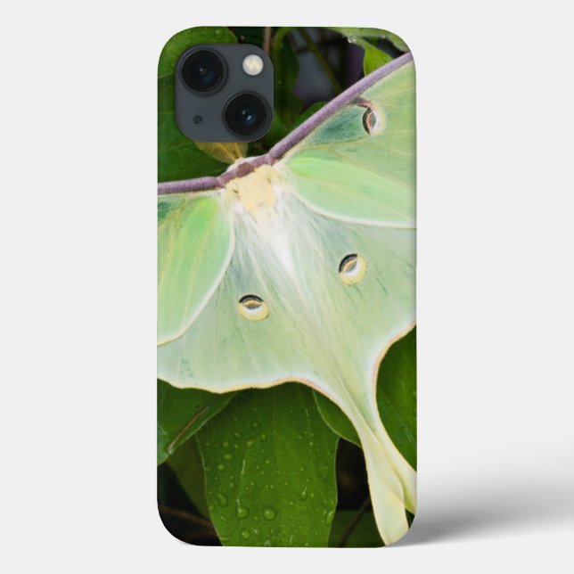 Coques Case-Mate iPhone Papillon Luna sur Clématite de Carnaby (Verso)
