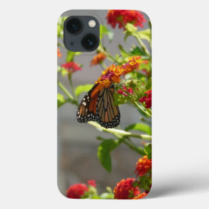 iPhone 13 Case Papillon monarque sur le papillon rouge Bush