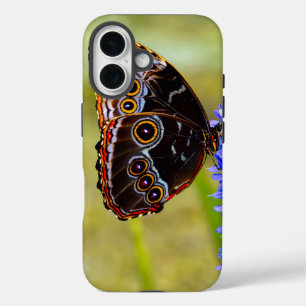 Coque Pour iPhone 16 Papillon morpho bleu sur une orchidée de marais