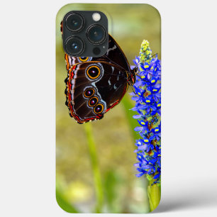Case-Mate iPhone Case Papillon morpho bleu sur une orchidée de marais