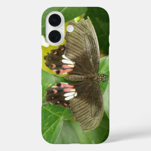 Coque Pour iPhone 16 Papillon porte-queue écarlate