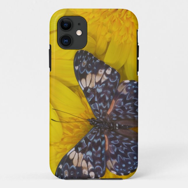 Coques Case-Mate iPhone Papillon sur une fleur jaune (Dos)