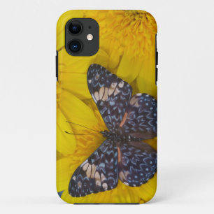 Coque Case-Mate Pour iPhone Papillon sur une Fleur Jaune