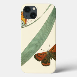 Coques Pour iPhone Papillons colorés qui se drapent autour d'une feu