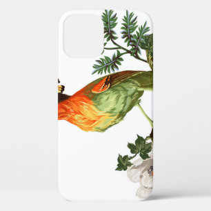 Case-Mate iPhone Case Paradise Birds : Exotic Floral Arrière - plan