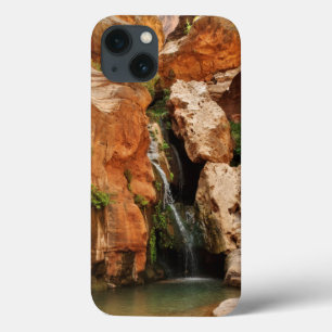 Etui iPhone Case-Mate Parc national du Grand Canyon, Arizona