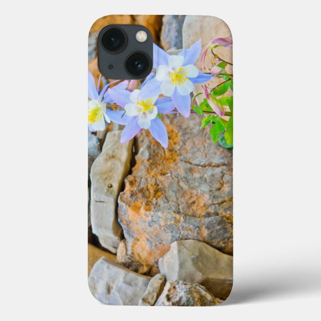 Coques Case-Mate iPhone Parc national du Grand Teton 1 (Verso)